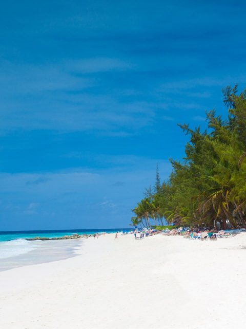 tropical beach in Barbados