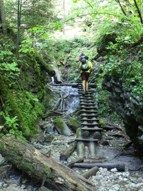 Leto na Slovensku – roklina Suchá Belá